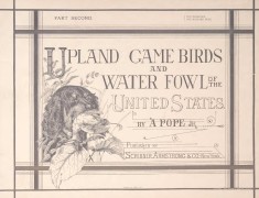 APopeJrUplandGameBirds1878(eng)Picture